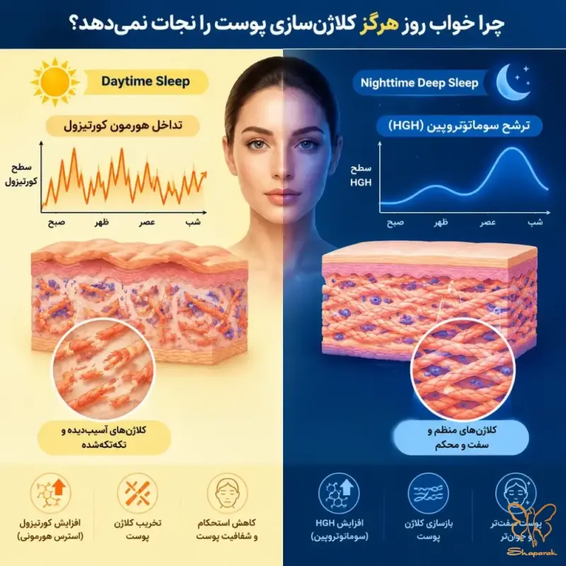 تداخل هورمون کورتیزول و افت ترشح سوماتوتروپین در روز