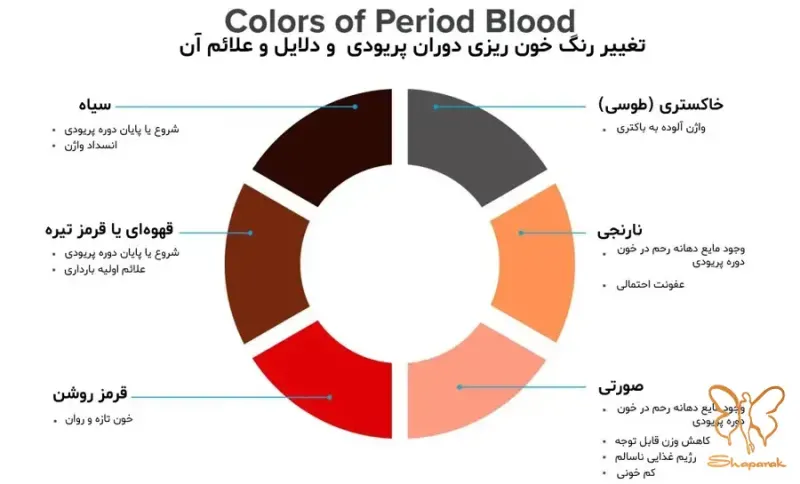 خون پریود از چه چیزی تشکیل شده است نگاهی میکروسکوپی خون پریود از چه چیزی تشکیل شده است نگاهی میکروسکوپی