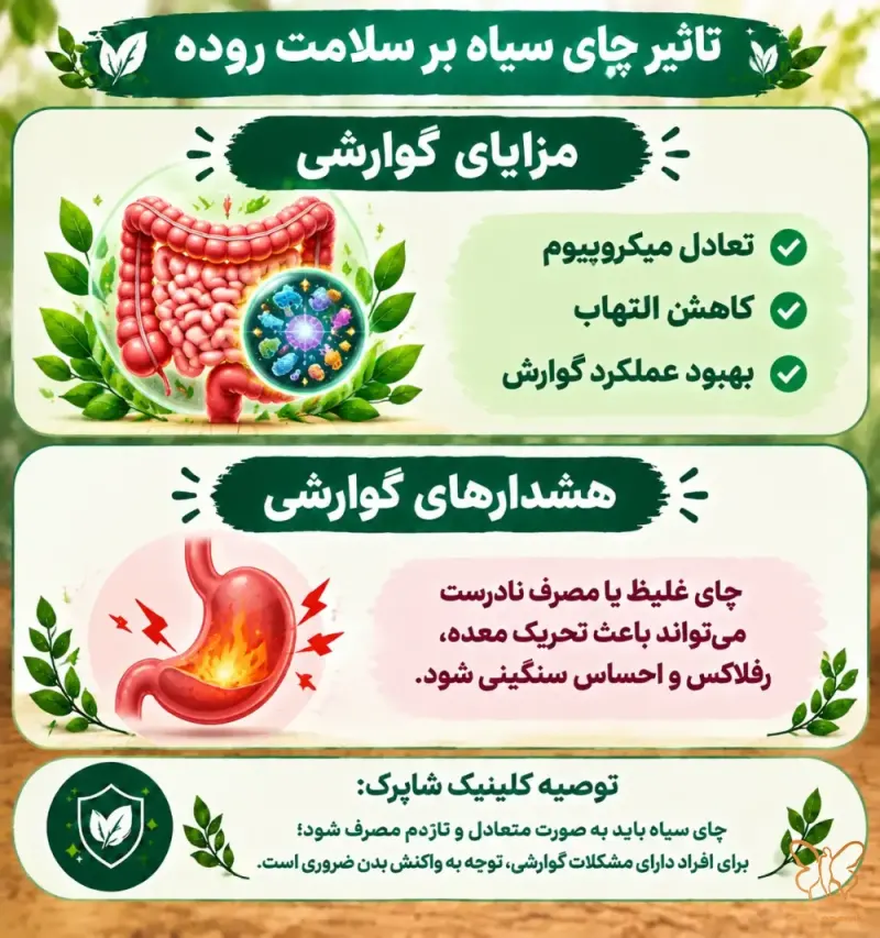 چه زمانی چای سیاه برای روده مشکل ساز می شود چه زمانی چای سیاه برای روده مشکل ساز می شود